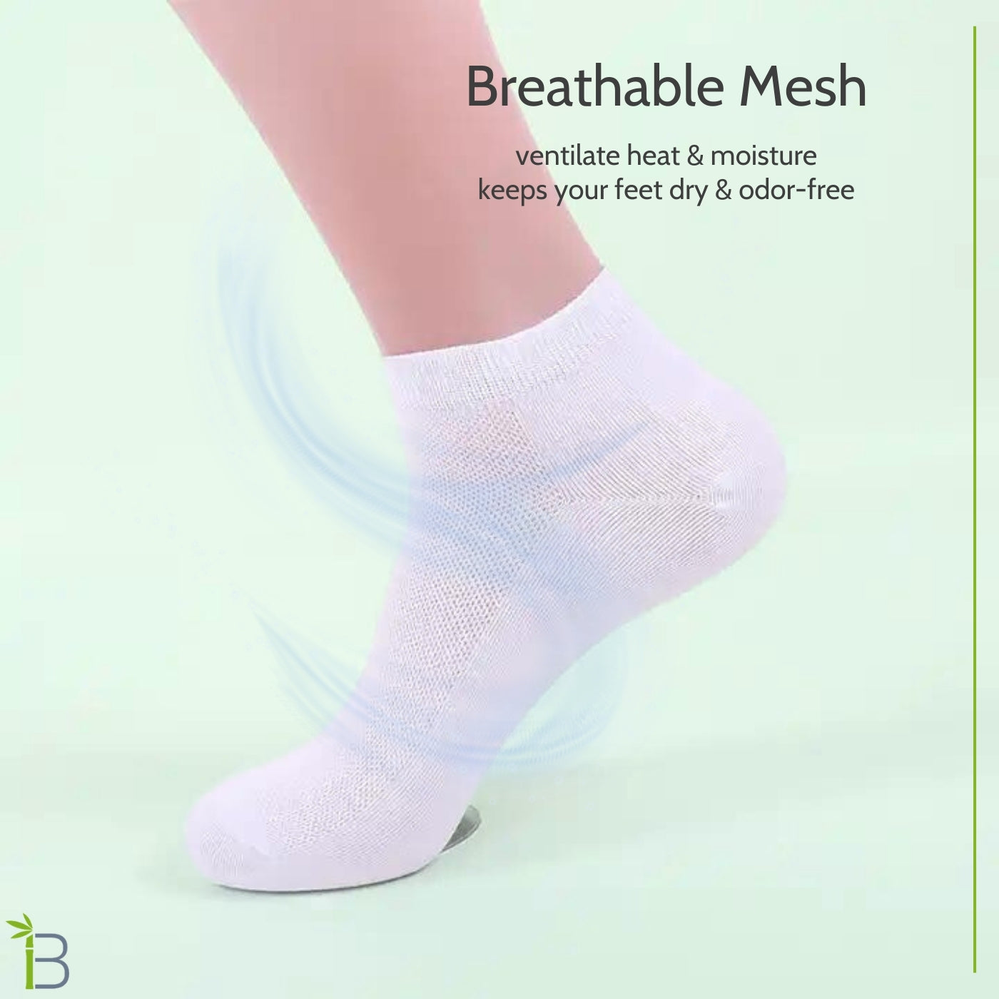 Ankle Socks for Women, 3 Pack, White